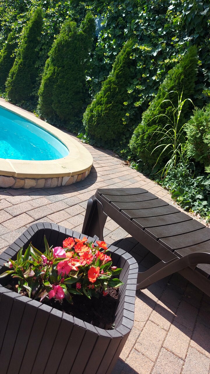 Гостиница Гостевой дом Шоколад Ольгинка-121