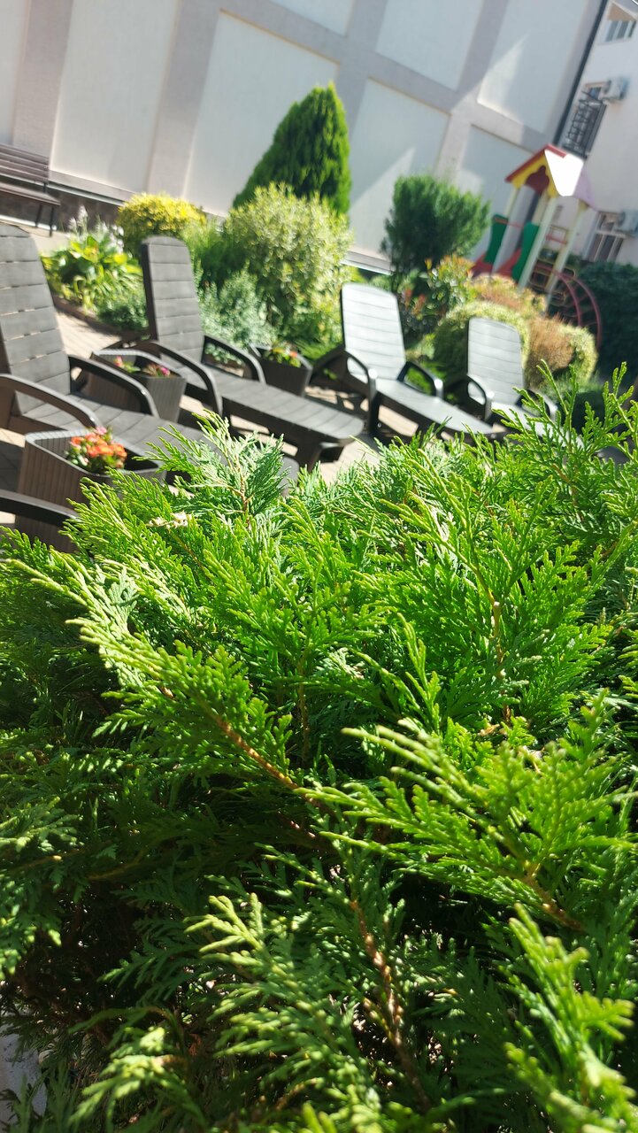 Гостиница Гостевой дом Шоколад Ольгинка-12