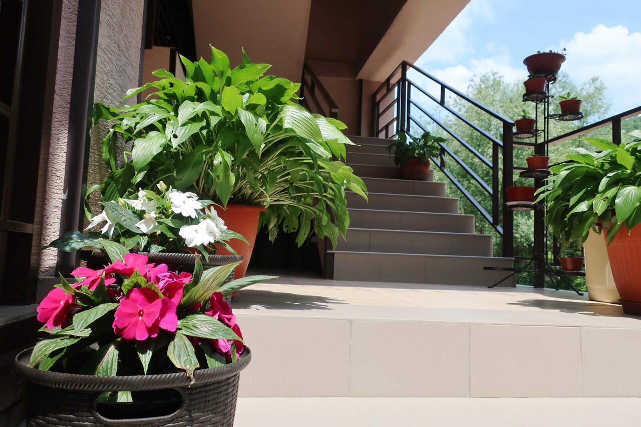 Гостиница Гостевой дом Шоколад Ольгинка-29