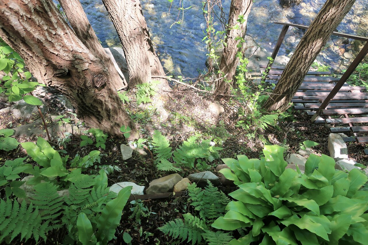 Гостиница Гостевой дом Шоколад Ольгинка-30