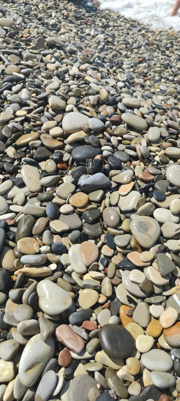 Гостиница Гостевой дом Шоколад Ольгинка-171