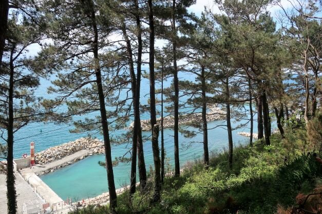 Гостиница Гостевой дом Шоколад Ольгинка-157