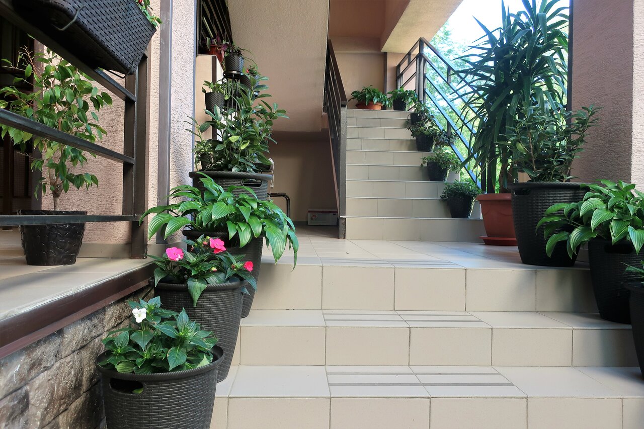 Гостиница Гостевой дом Шоколад Ольгинка-134