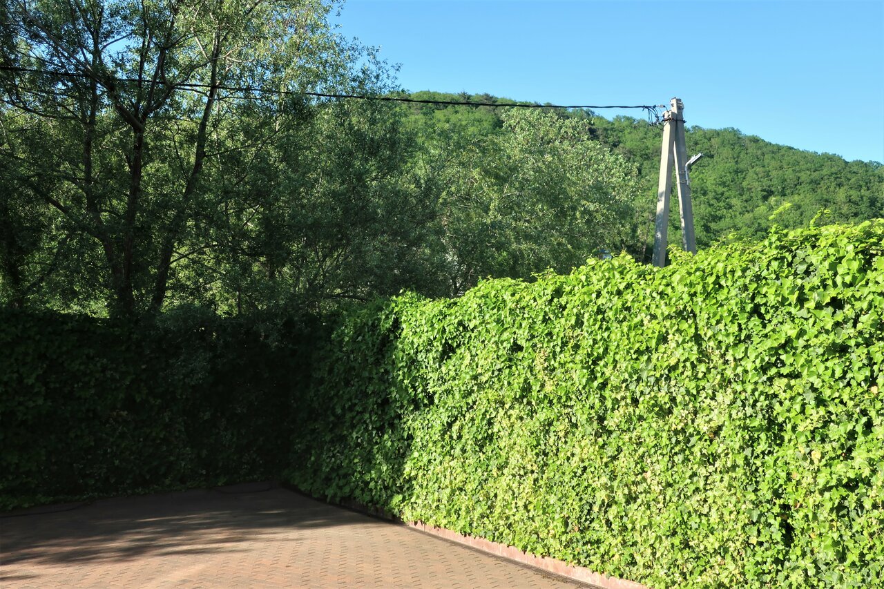 Гостиница Гостевой дом Шоколад Ольгинка-34