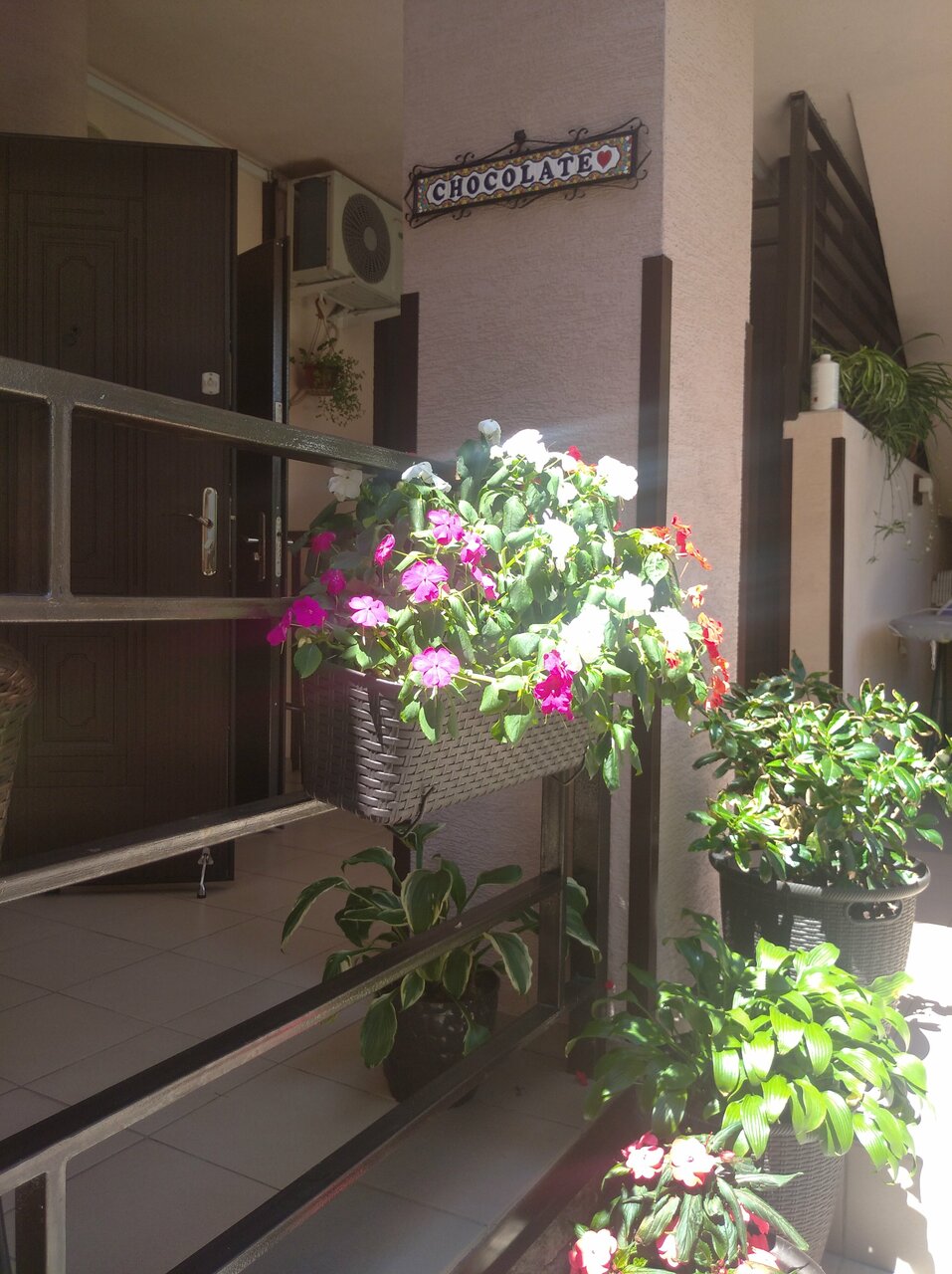 Гостиница Гостевой дом Шоколад Ольгинка-102