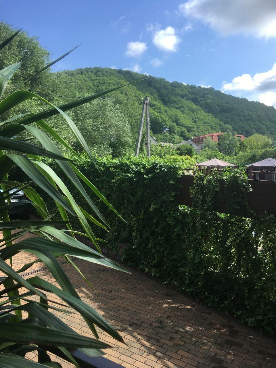 Гостиница Гостевой дом Шоколад Ольгинка-63