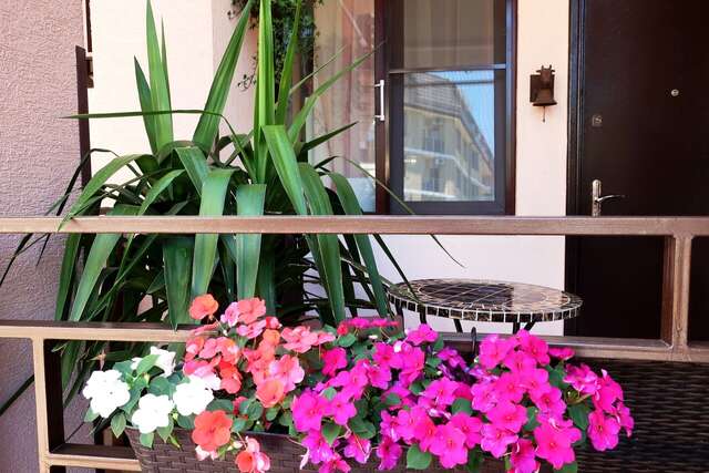 Гостиница Гостевой дом Шоколад Ольгинка-81