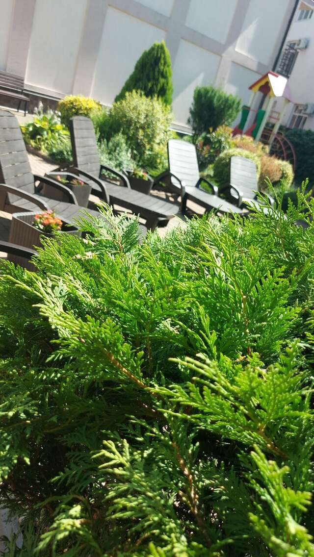 Гостиница Гостевой дом Шоколад Ольгинка-11