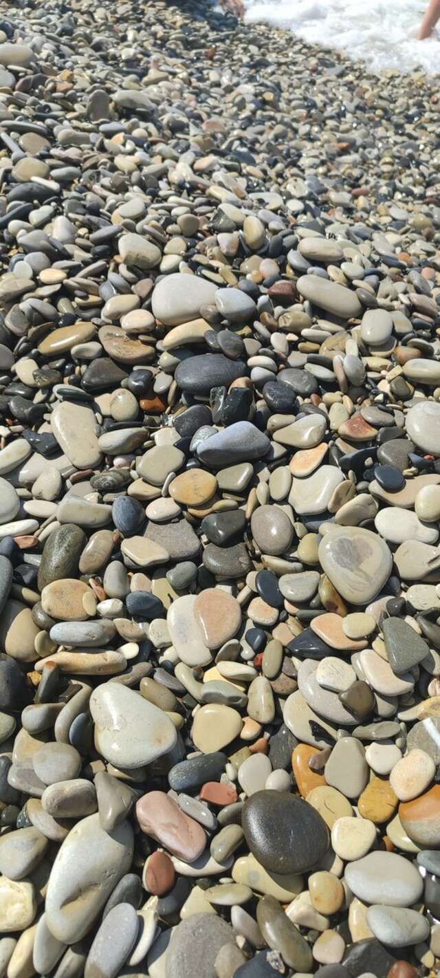 Гостиница Гостевой дом Шоколад Ольгинка-170