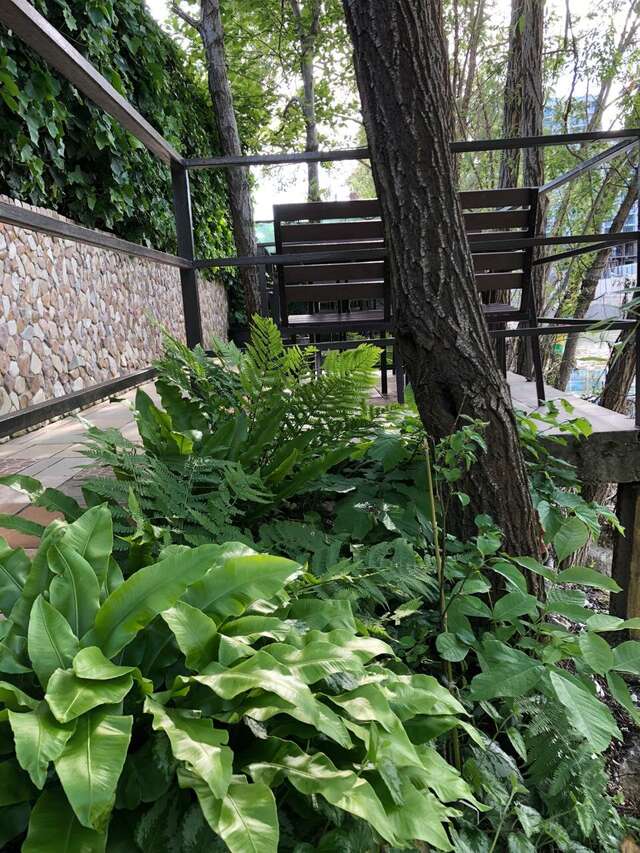 Гостиница Гостевой дом Шоколад Ольгинка-51