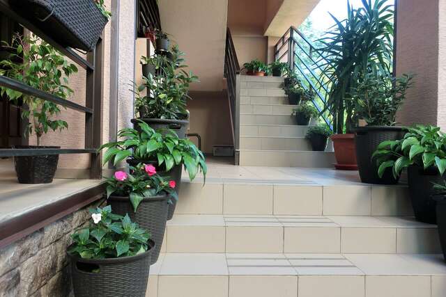 Гостиница Гостевой дом Шоколад Ольгинка-133