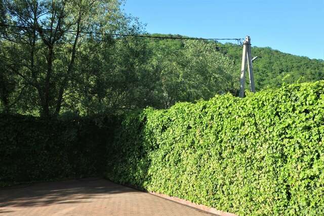 Гостиница Гостевой дом Шоколад Ольгинка-33