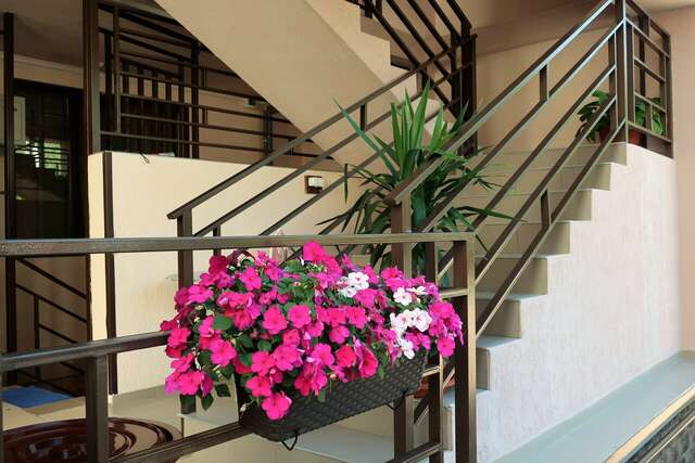 Гостиница Гостевой дом Шоколад Ольгинка-60