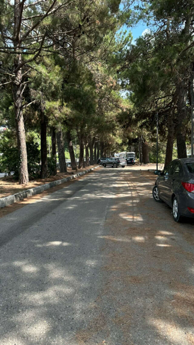 Гостиница Гостевой дом Шоколад Ольгинка-169